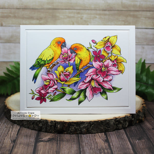 Perched in the Orchids Digital Stamp Set