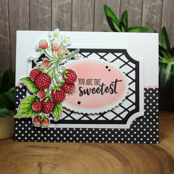 Summer Berries Stamp Set