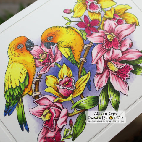 Perched in the Orchids Digital Stamp Set