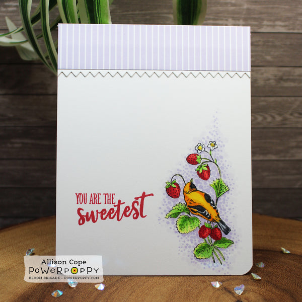 Summer Berries Stamp Set