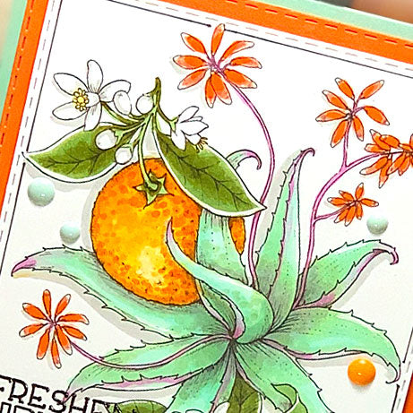 Aloe and Oranges Digital Stamp Set