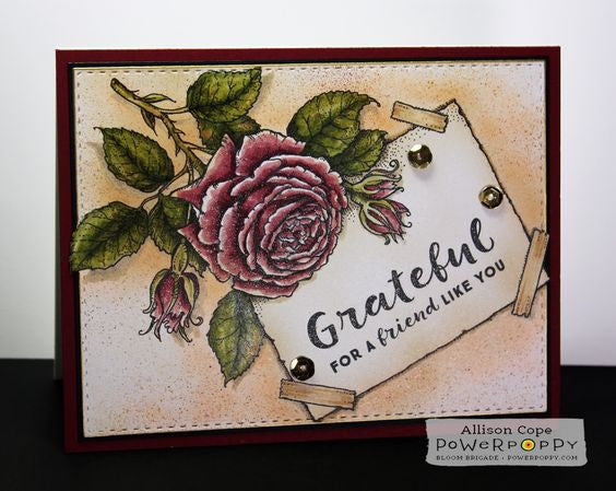 Nice Things to Say Stamp Set