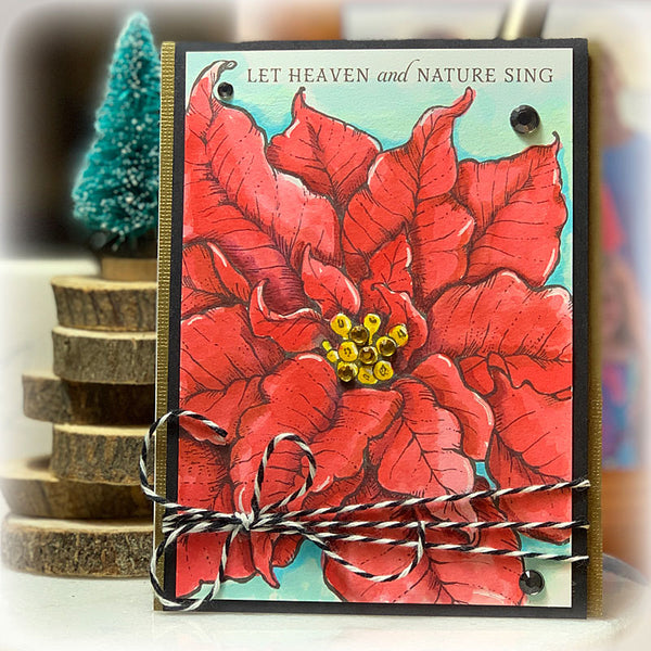 Poinsettia XL Digital Stamp Set