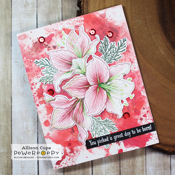 Amaryllis Digital Stamp Set