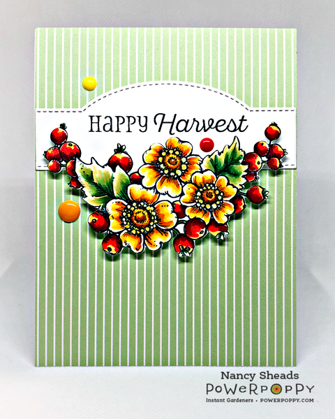 Dazzling Display Digital Stamp Set