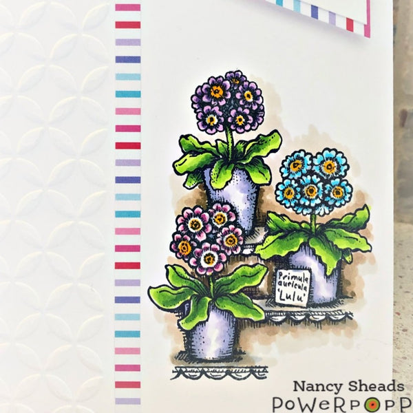 Auricula Theatre Digital Stamp Set