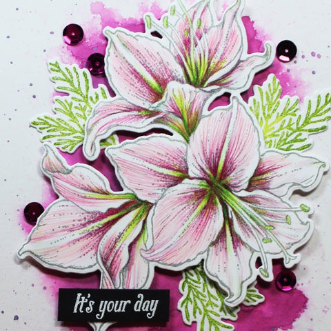 Amaryllis Digital Stamp Set
