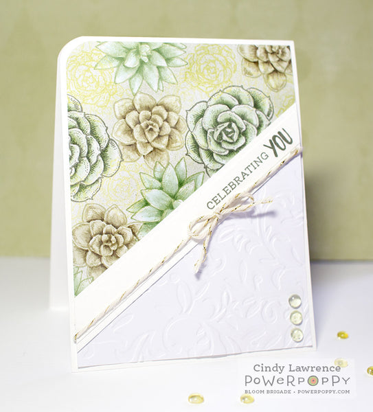Succulent Singles Stamp Set