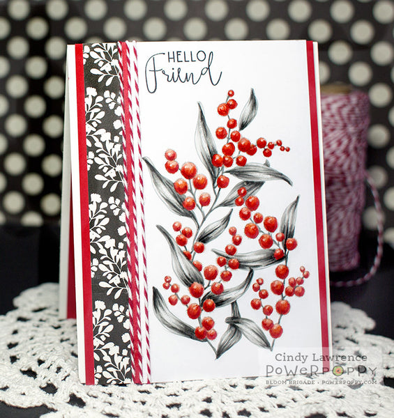 Bubbles and Fizz Digital Stamp Set