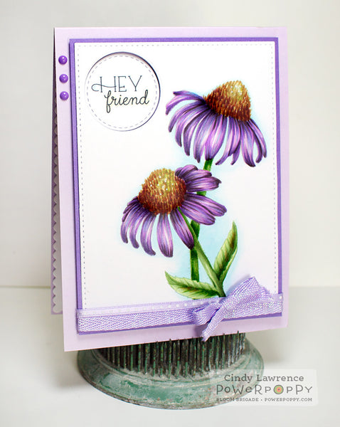 Easy Breezy Coneflowers Digital Stamp Set