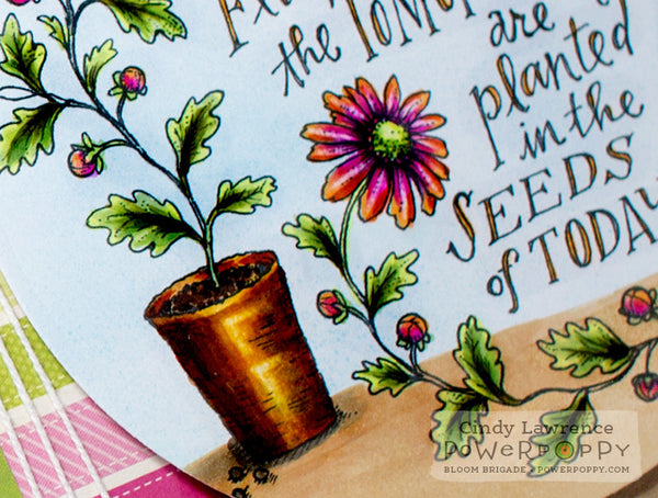 Seeds of Today Digital Stamp Set