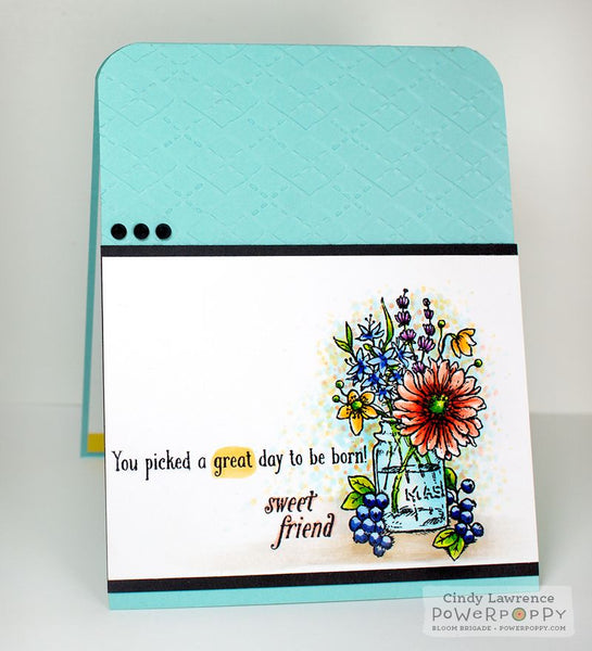 Go Wild Stamp Set