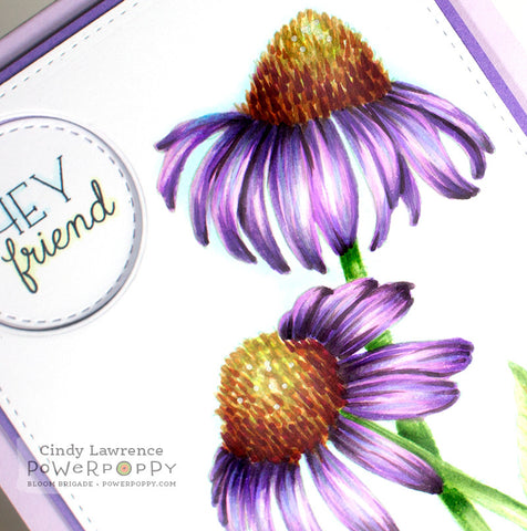 Easy Breezy Coneflowers Digital Stamp Set