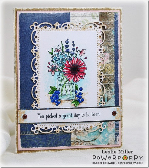 Go Wild Stamp Set