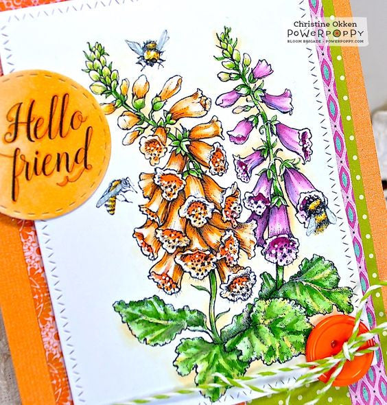Dynamic Duos: Foxglove and Ranunculus Stamp Set
