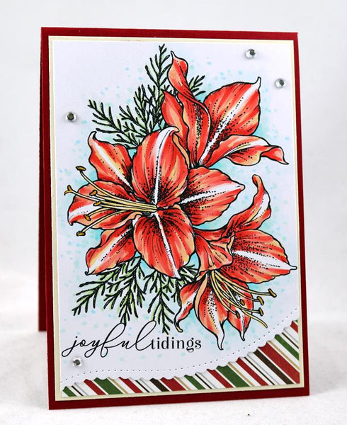 Amaryllis Digital Stamp Set