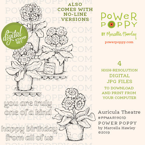 Auricula Theatre Digital Stamp Set