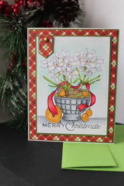 Mossy Pots with Paperwhites: Tureen Digital Stamp Set