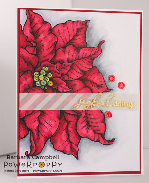 Poinsettia XL Digital Stamp Set