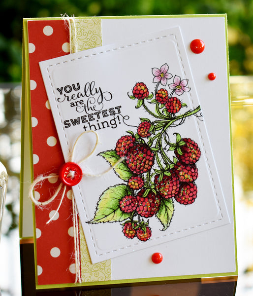 Summer Berries Stamp Set