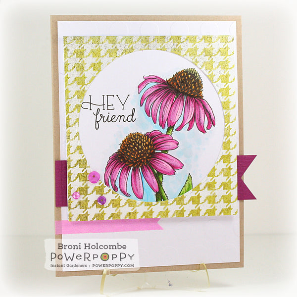 Easy Breezy Coneflowers Digital Stamp Set