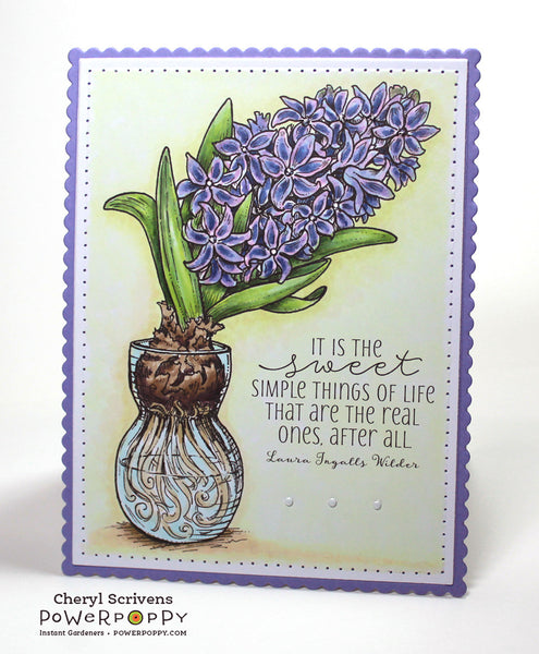 Hyacinth Bulb in Glass Digital Stamp Set