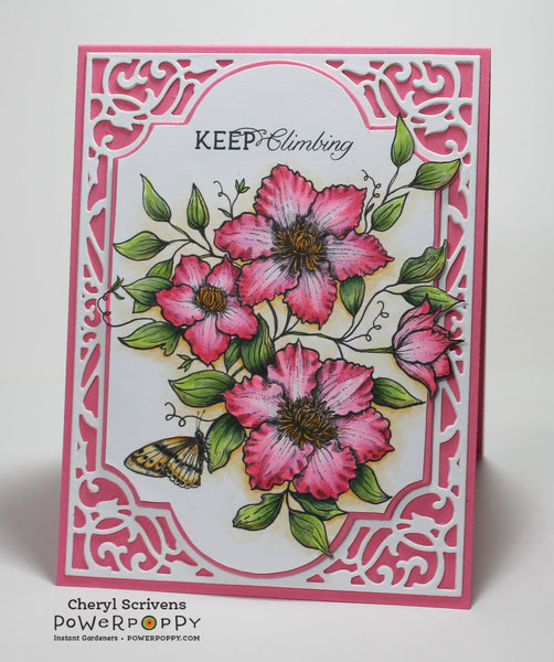 Climbing Clematis Digital Stamp Set