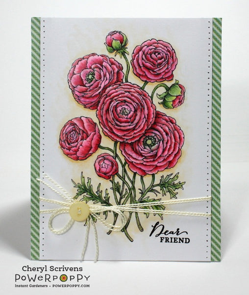 Ranunculus Digital Stamp Set