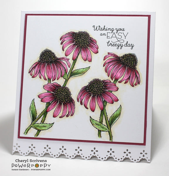 Easy Breezy Coneflowers Digital Stamp Set