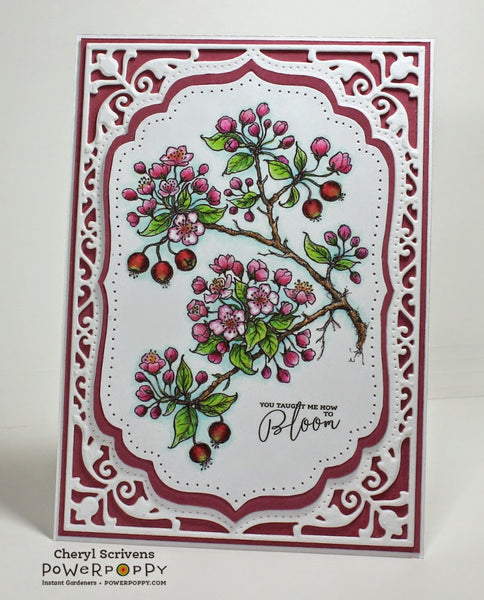 Flowering Branches Digital Stamp Set