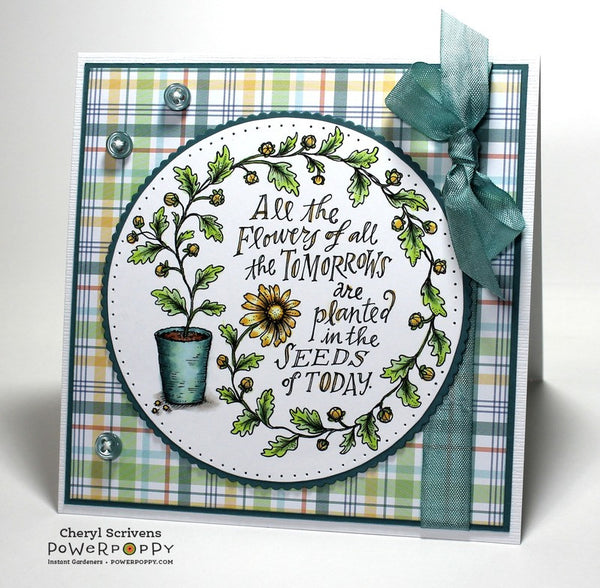Seeds of Today Digital Stamp Set