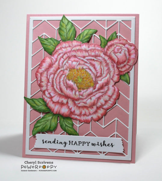 Tree Peony Digital Stamp Set