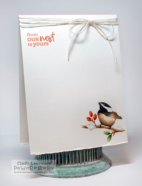 Tweet Tidings Stamp Set