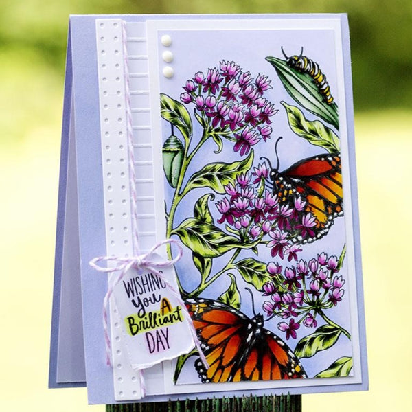 Monarchs and Milkweed Digital Stamp Set