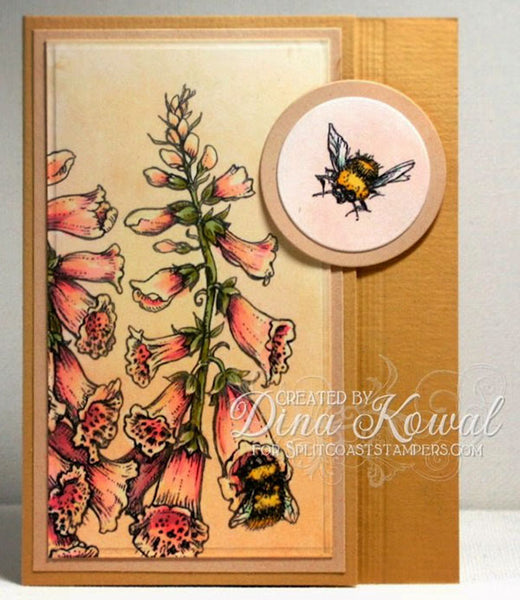 Dynamic Duos: Foxglove and Ranunculus Stamp Set