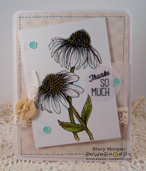 Easy Breezy Coneflowers Digital Stamp Set