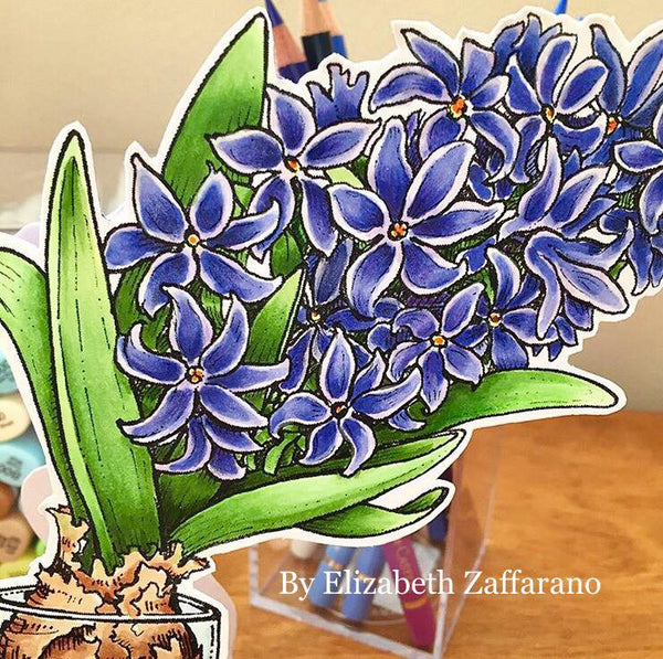 Hyacinth Bulb in Glass Digital Stamp Set