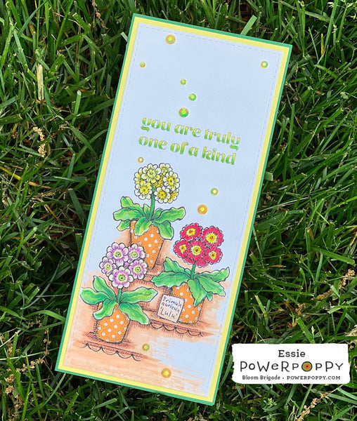 Auricula Theatre Digital Stamp Set