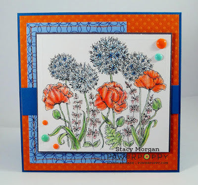 Garden Fireworks Digital Stamp Set