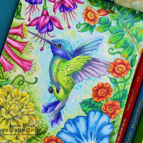 Hummingbird Paradise Digital Stamp Set