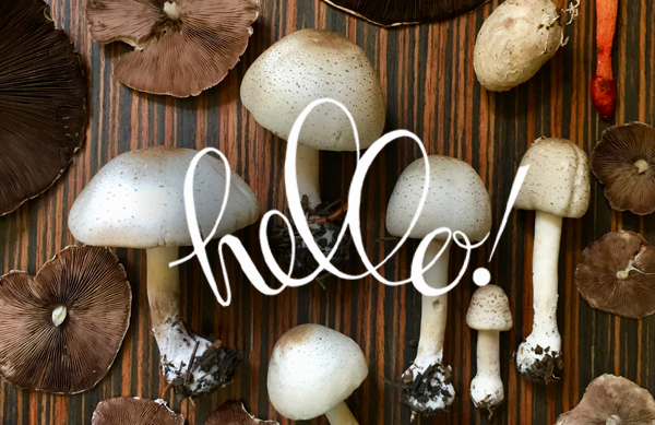 Mushroom Trio Digital Stamp Set