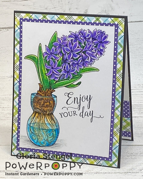 Hyacinth Bulb in Glass Digital Stamp Set
