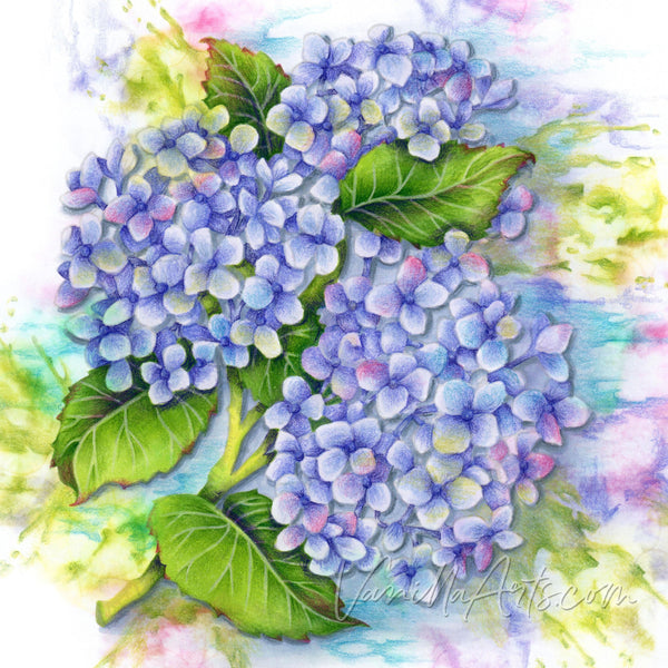 Hydrangea Hype Digital Stamp Set