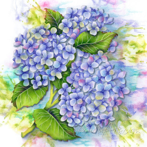 Hydrangea Hype Digital Stamp Set
