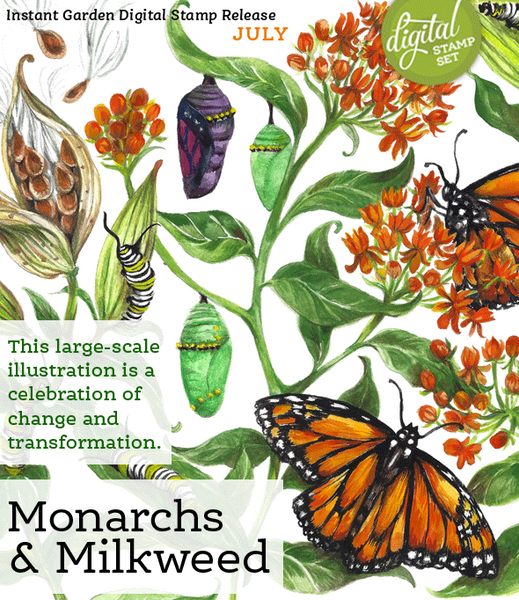 Monarchs and Milkweed Digital Stamp Set