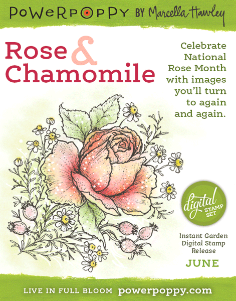 Rose and Chamomile Digital Stamp Set