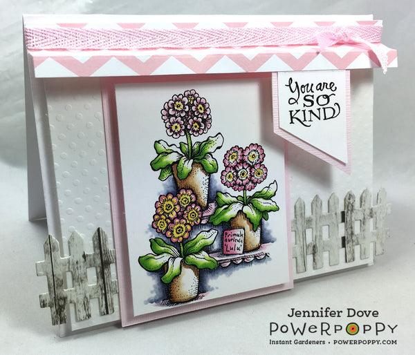 Auricula Theatre Digital Stamp Set