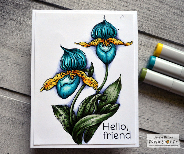 Lady Slipper Orchid Digital Stamp Set