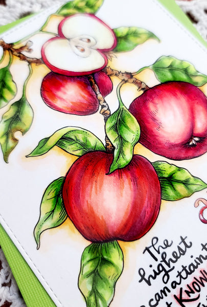 Folklore Flora Digital Stamp Package