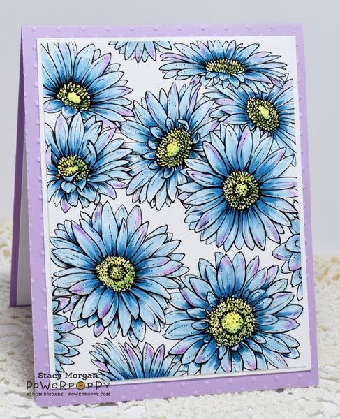 Kindness is the Way Digital Stamp Set